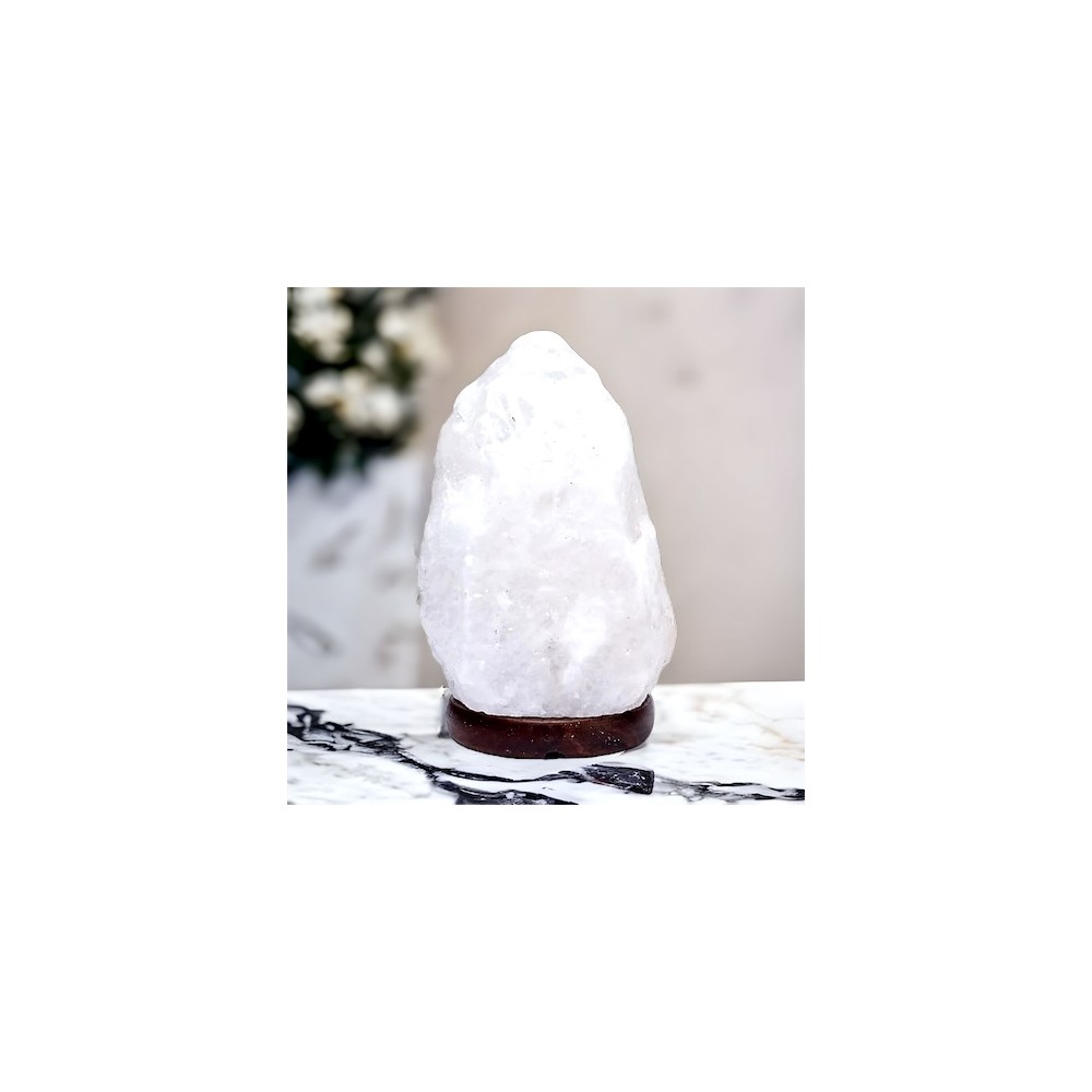 Lampe en Cristal de Sel d'Himalaya de 2 à 3 kg