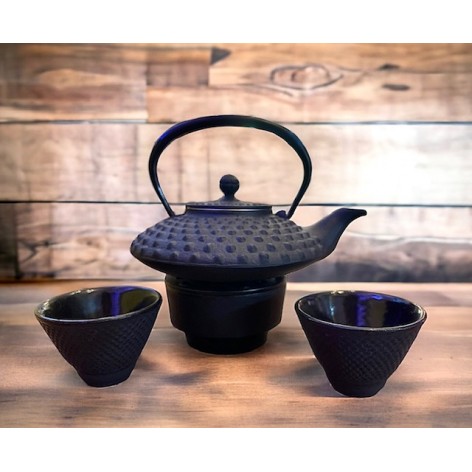 Japanese cast iron teapot