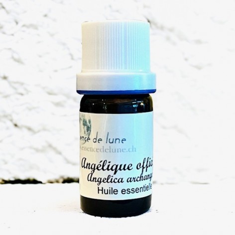 Organic Angelica essential oil