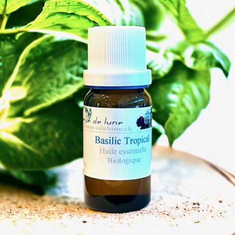 Organic tropical basil essential oil