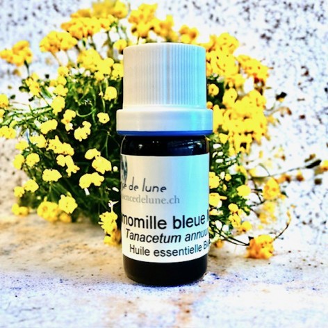 Essential oil, organic blue chamomile