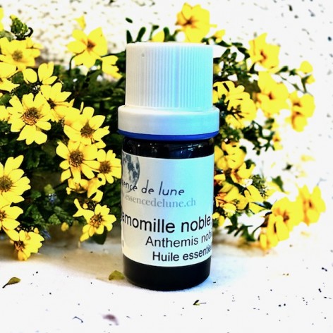 Huile essentielle, camomille noble-romaine bio