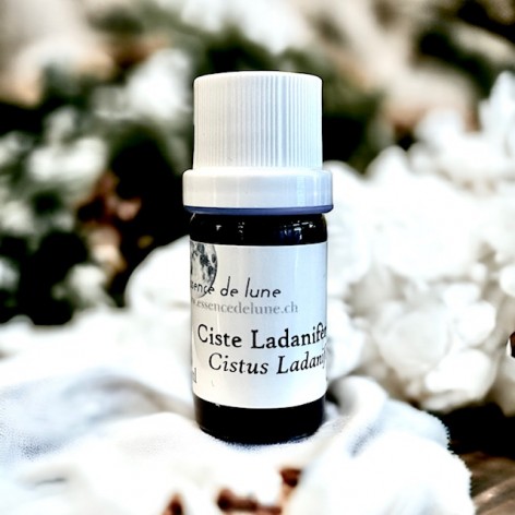 Organic cistus ladanifera essential oil