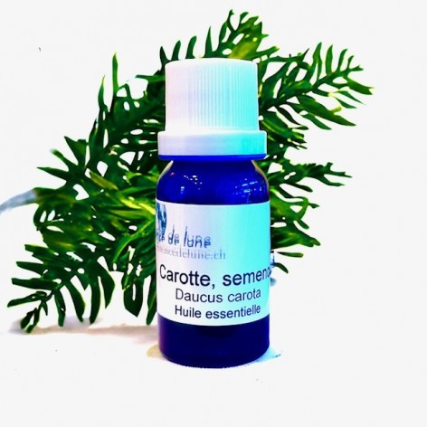 Huile essentielle, carotte semence bio