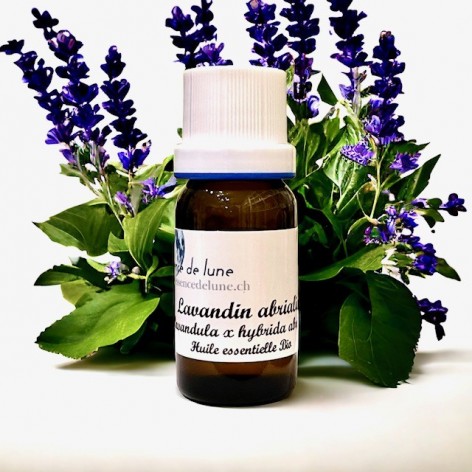 Organic lavandin abrialis essential oil