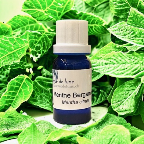 Essential oil, organic bergamot mint