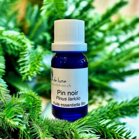 Organic black pine essential oil