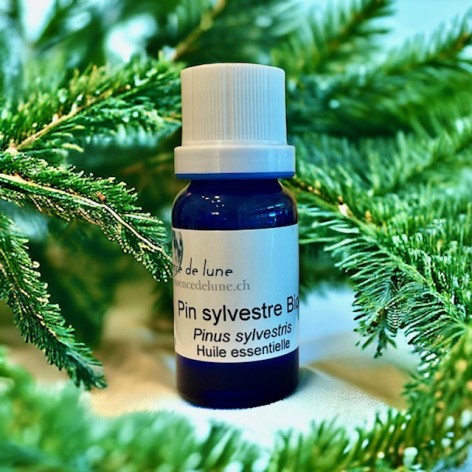 Organic Scots pine essential oil