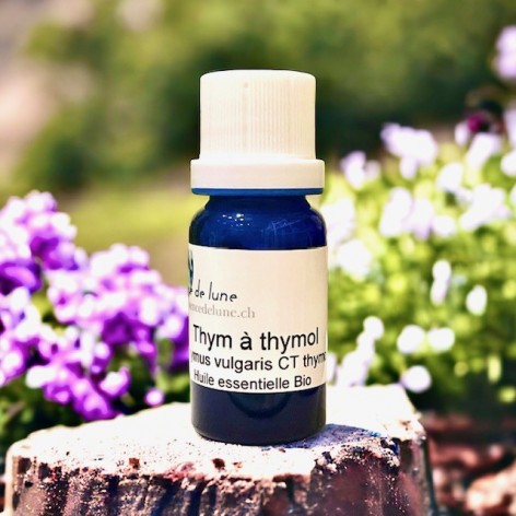 Huile essentielle, thym à thymol bio