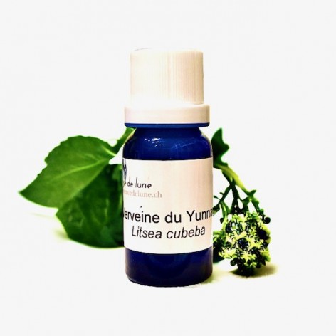 Huile essentielle, verveine du yunnan bio (litsée)