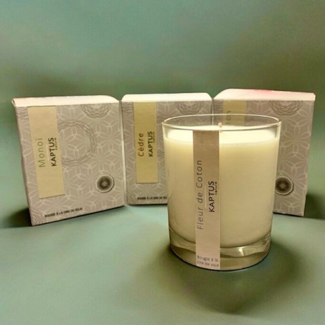 Soy wax candle classic collection