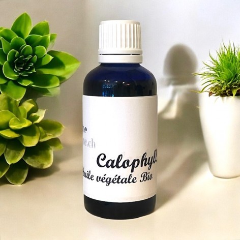 Vegetable oil, calophylla