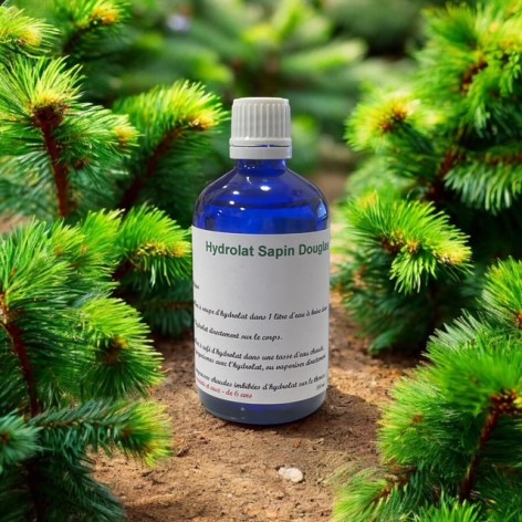 Douglas fir hydrosol