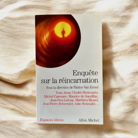 Enquête sur la réincarnation